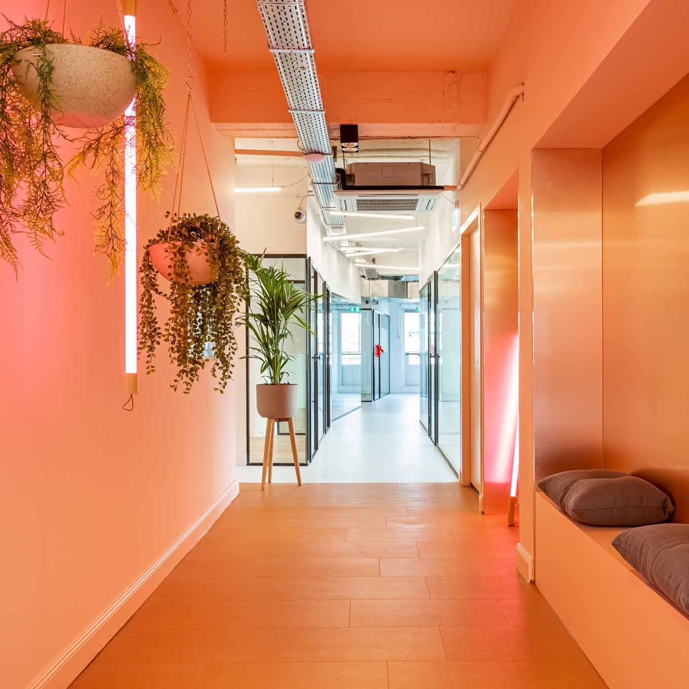 Curitt Amsterdam