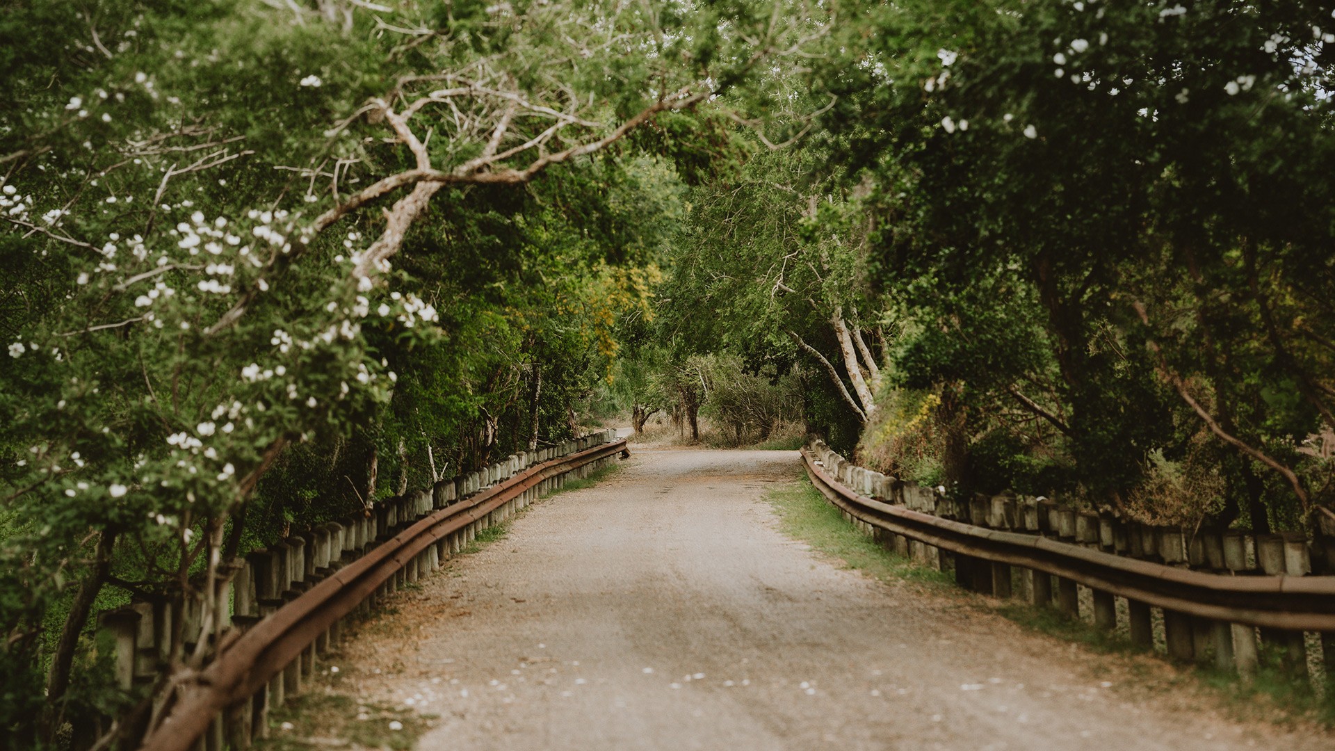 two people in kayaks paddling on the water
