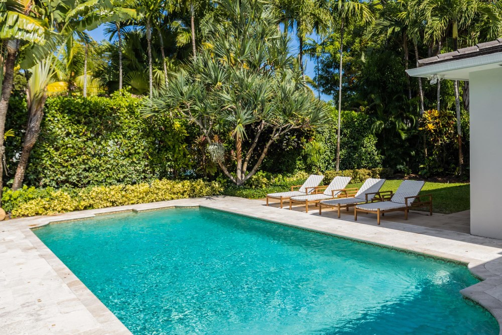 Bright residential pool surrounded by palm trees and sun loungers beside a timber deck.