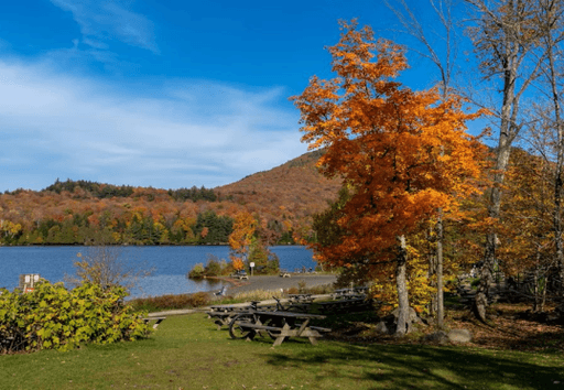 Paysage automnal du lac d’Argent avec arbre aux feuilles rouges et orange, ciel bleu et collines en arrière-plan.