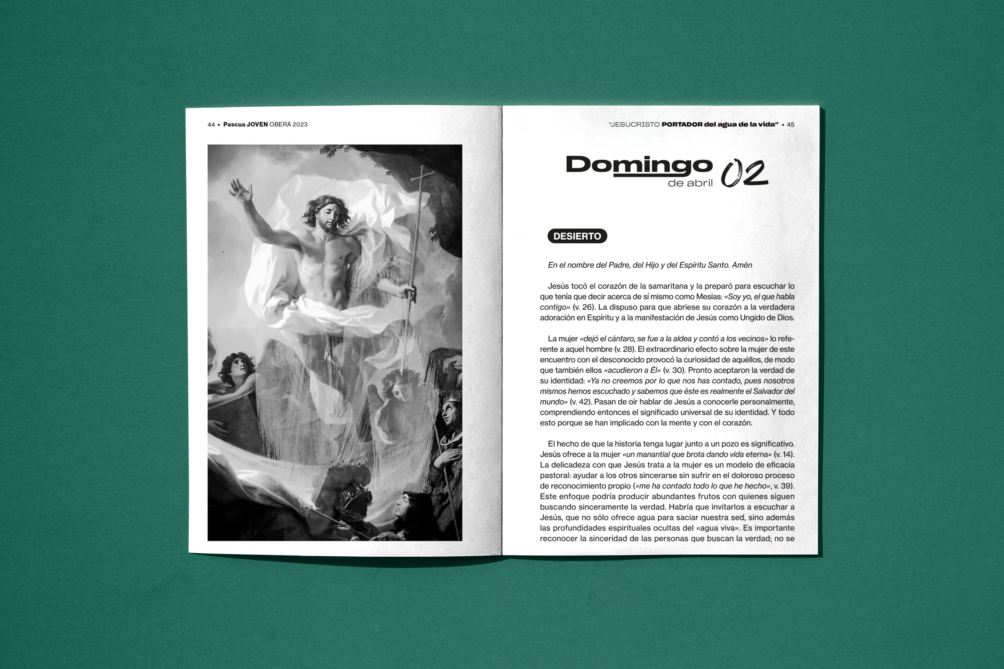 Large Project Gallery Image #2