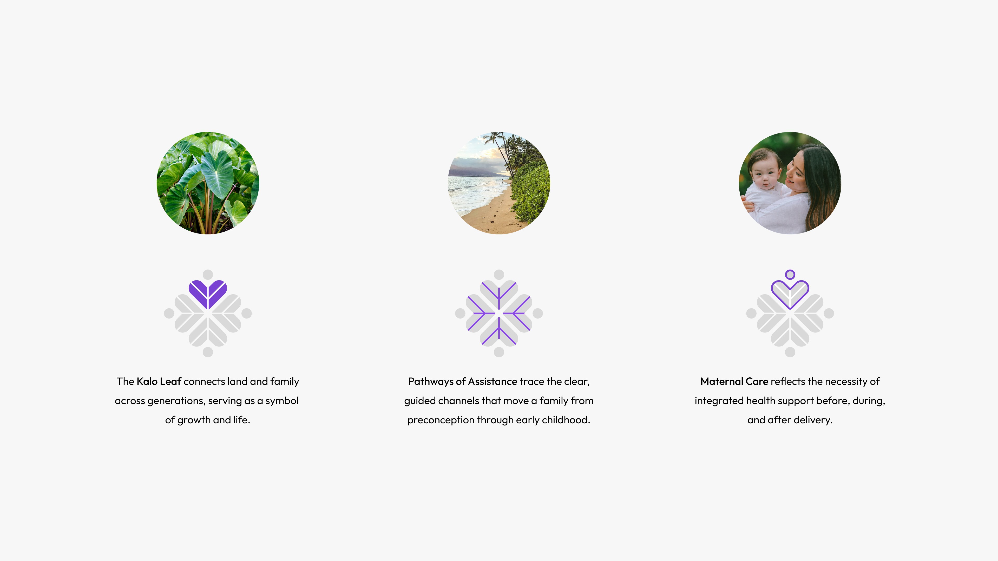 Moʻopuna Perinatal Network image 5