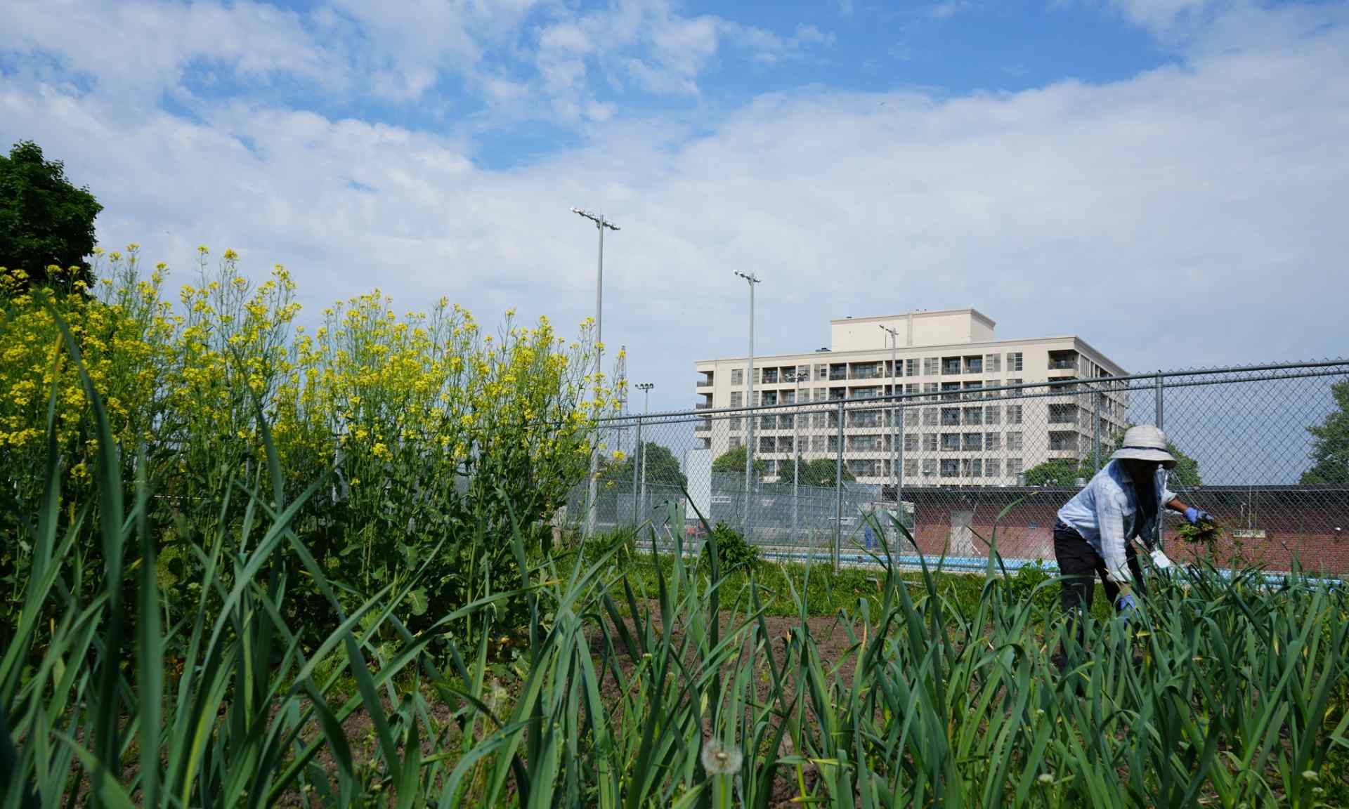 Blog