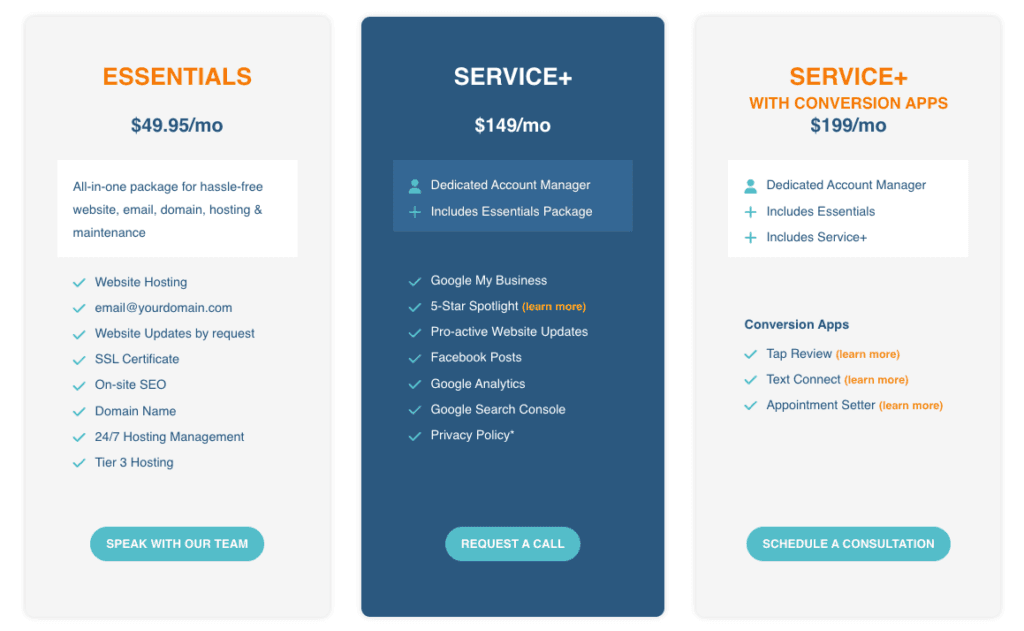 Screenshot of the Big Tuna website showing website maintenance and support services.