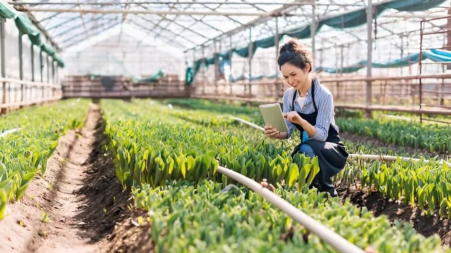 Types of Farming - Commercial Farming.jpeg
