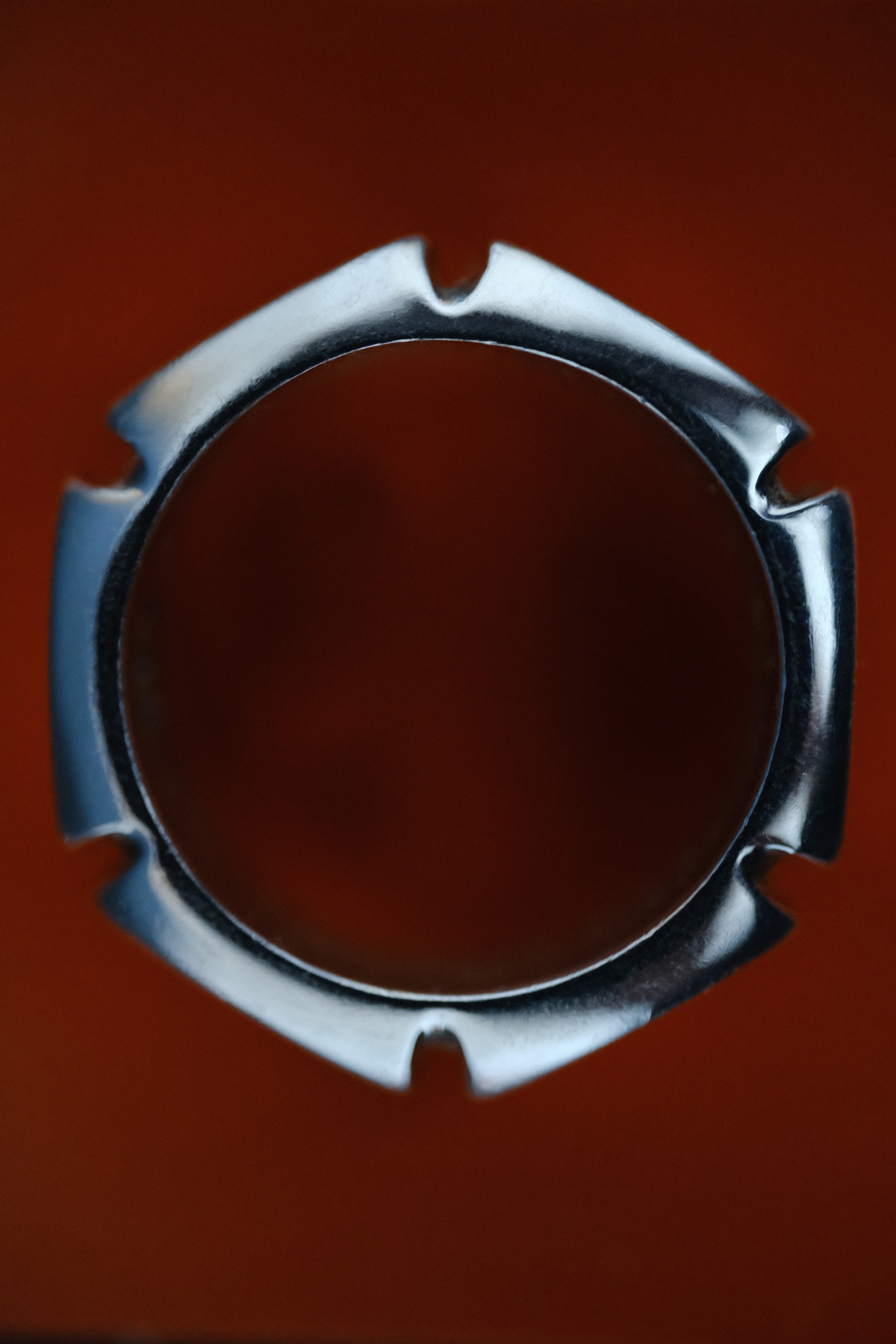 Close-up of a tree stump showing growth rings and a textured brown wood surface.