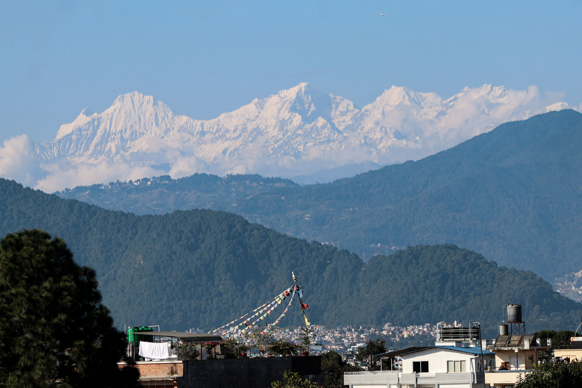 Yellow themed washroom with sunlight and plants 