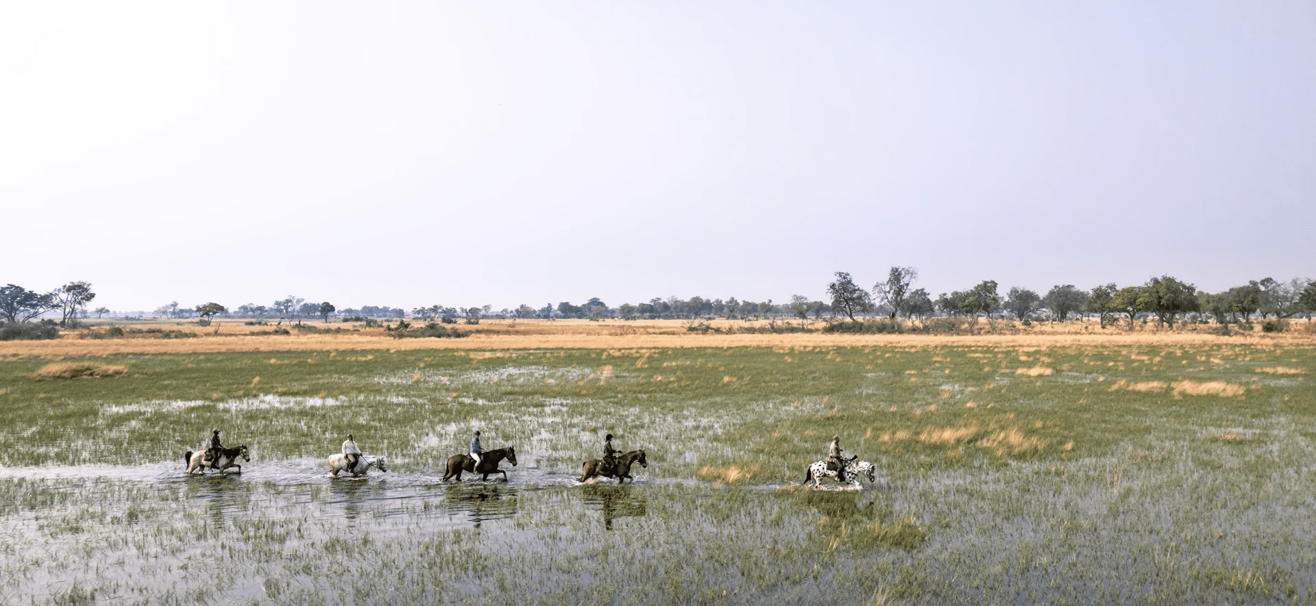 Fem ryttare till häst på ridsafari korsar Okavango Deltats grunda vatten. Kujwana Dela Ride, ridsafari i Botswana, Afrika