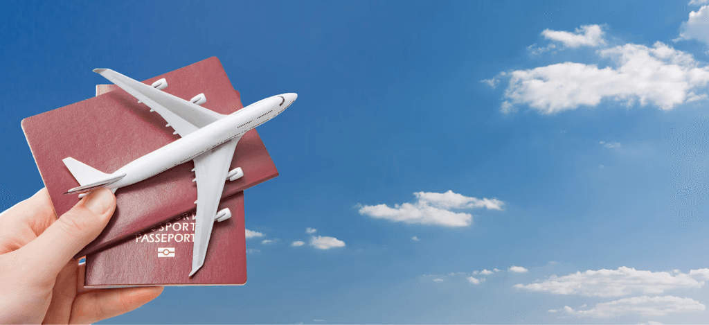 Fantastic travel cover, What's included?