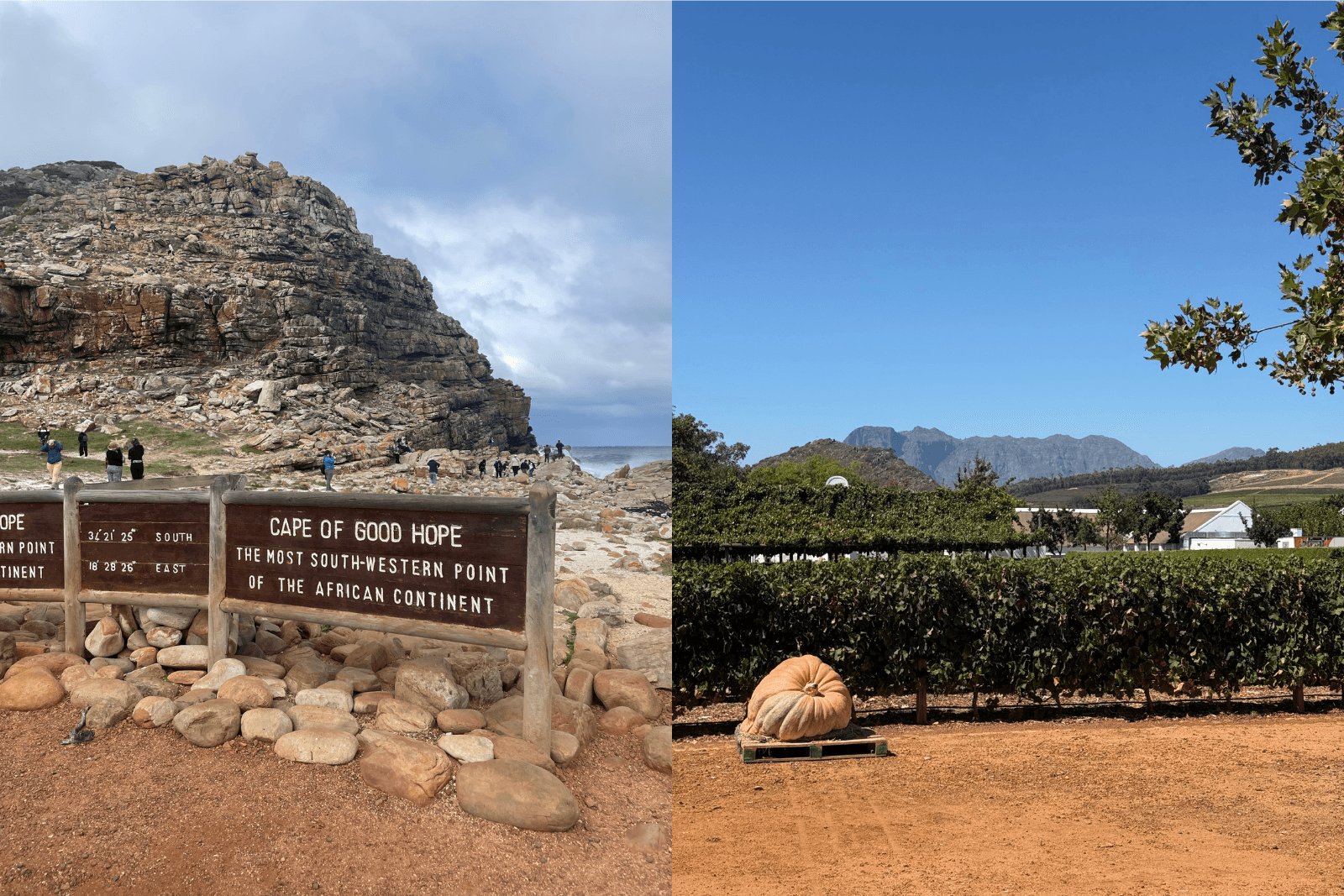 Montage du Cape of Good Hope et d’un vignoble sud‑africain avec montagnes en arrière‑plan.
