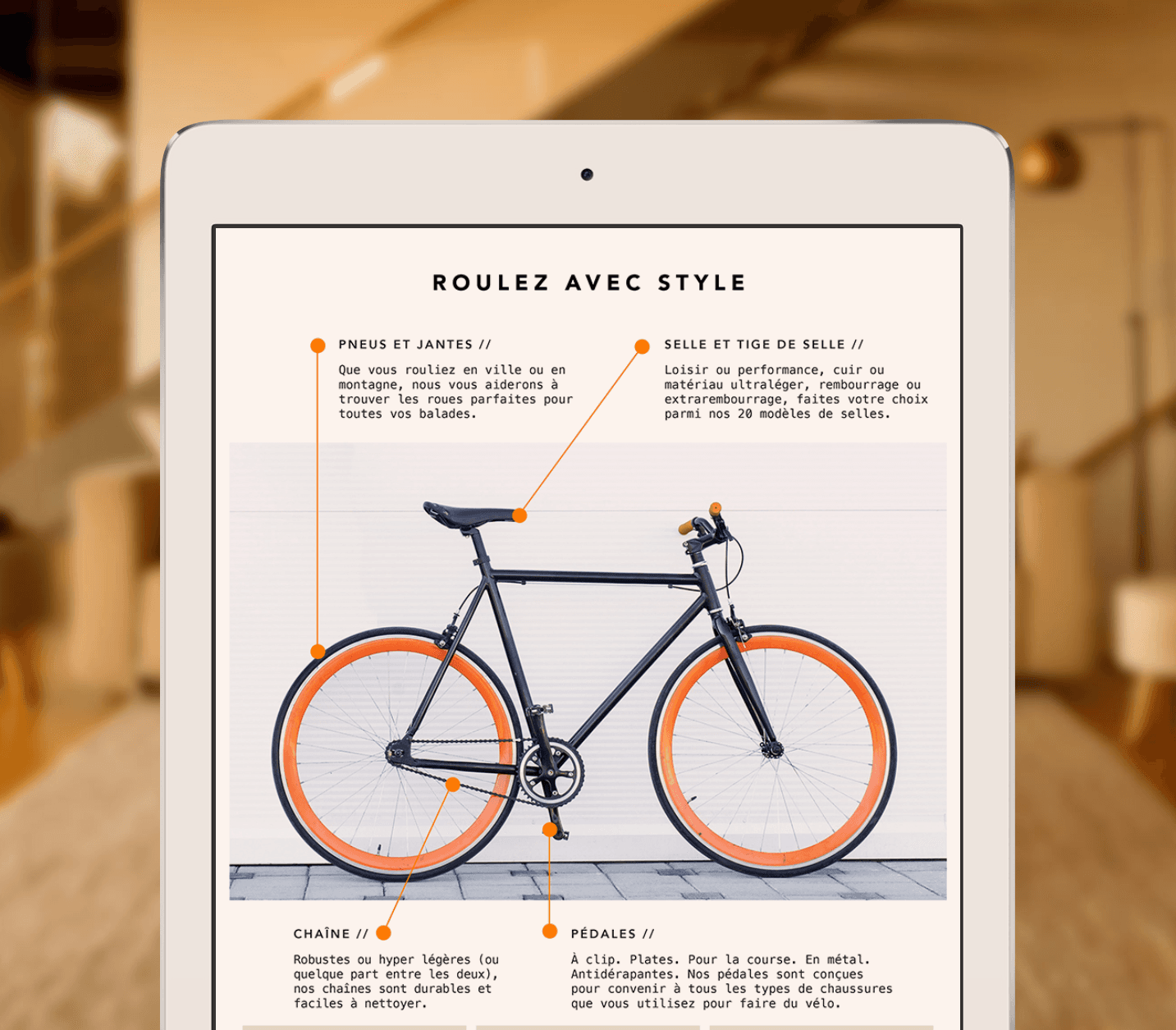 cejudo signed gloves