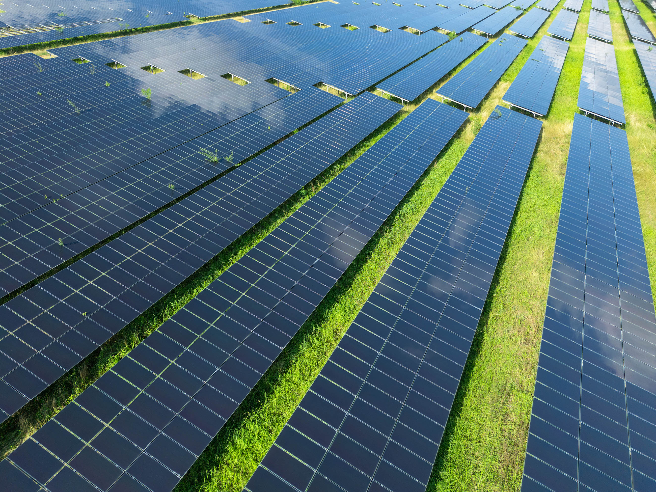 Solar panels in a field.