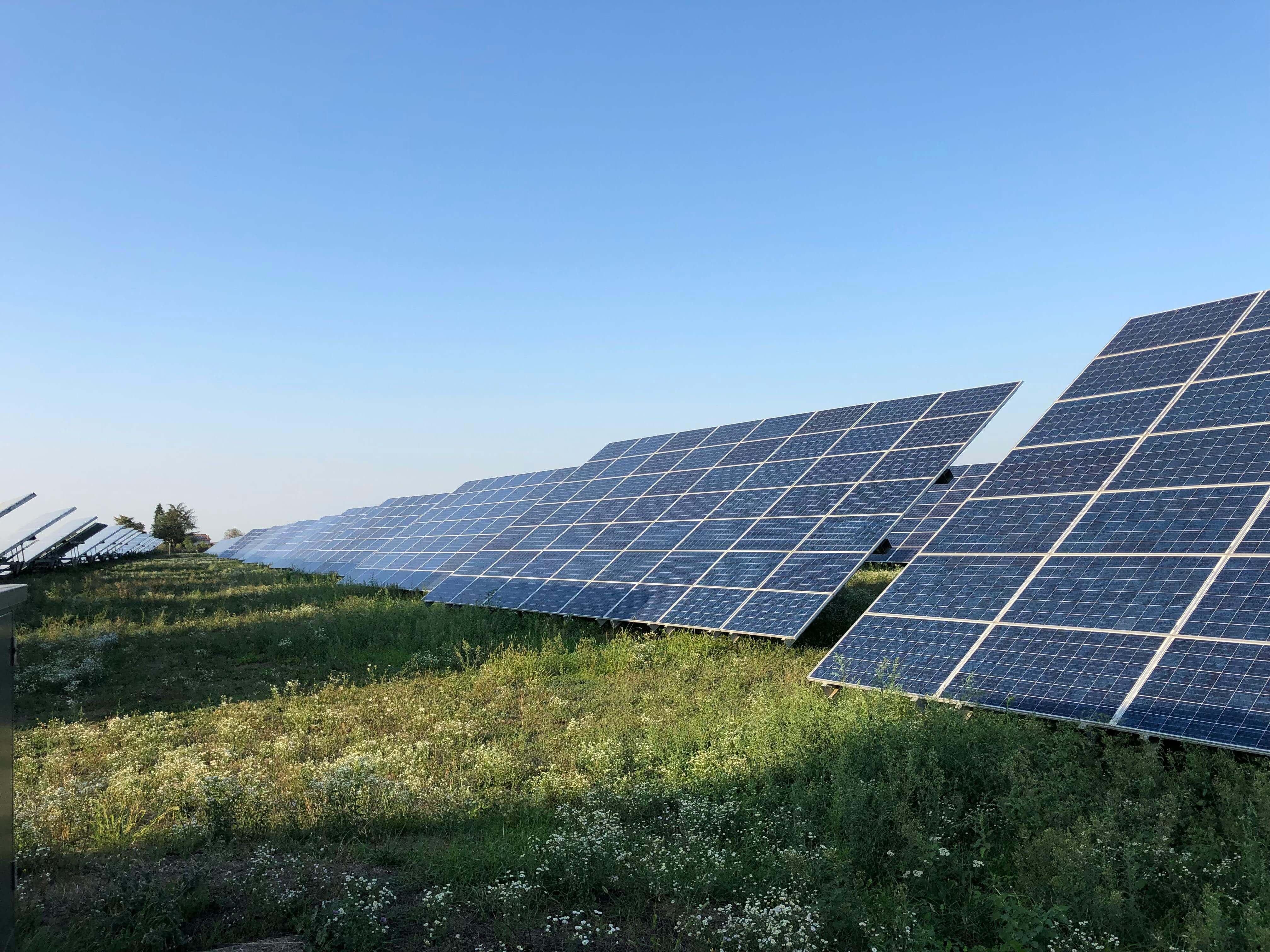 Solar Plates in Green Environment
