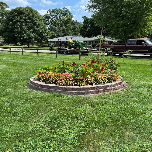 Refreshed flower bed