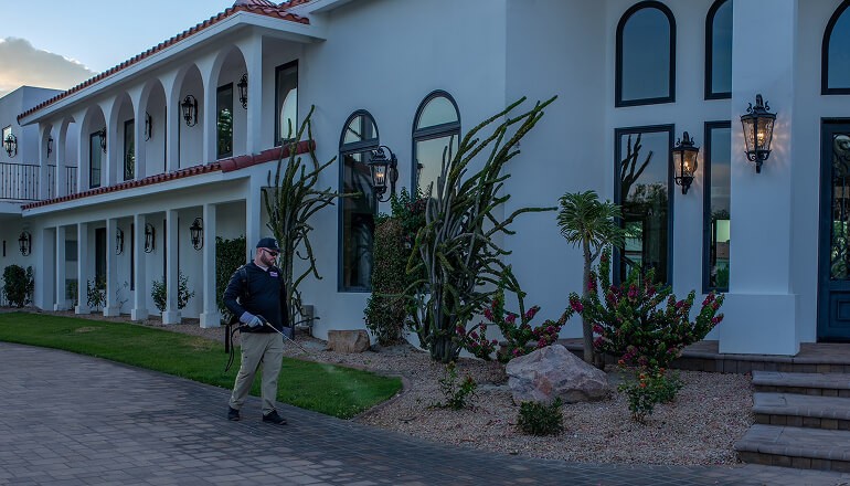 Arizona desert with cactuses and mountains