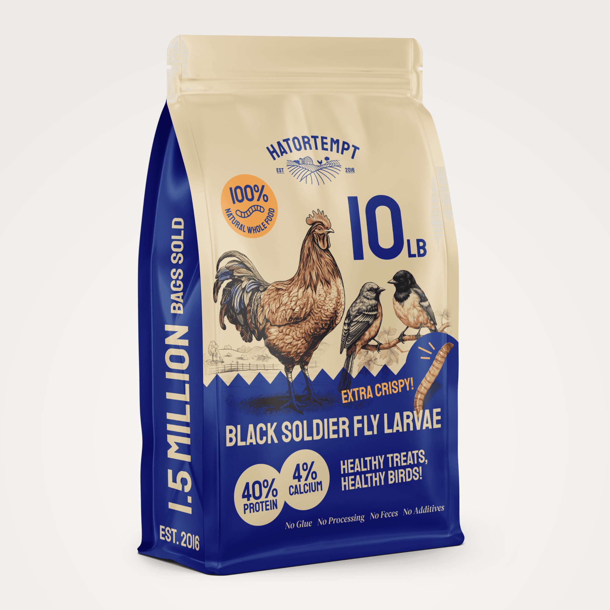 black soldier fly larvae