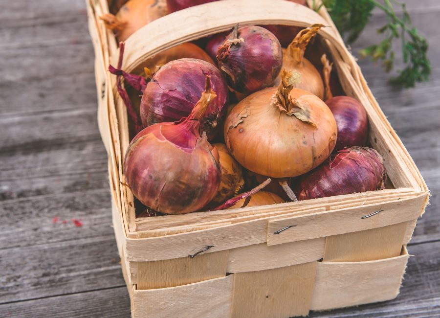Conservare le cipolle fresche intere