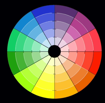 color wheel showing all the colors for branding and web design