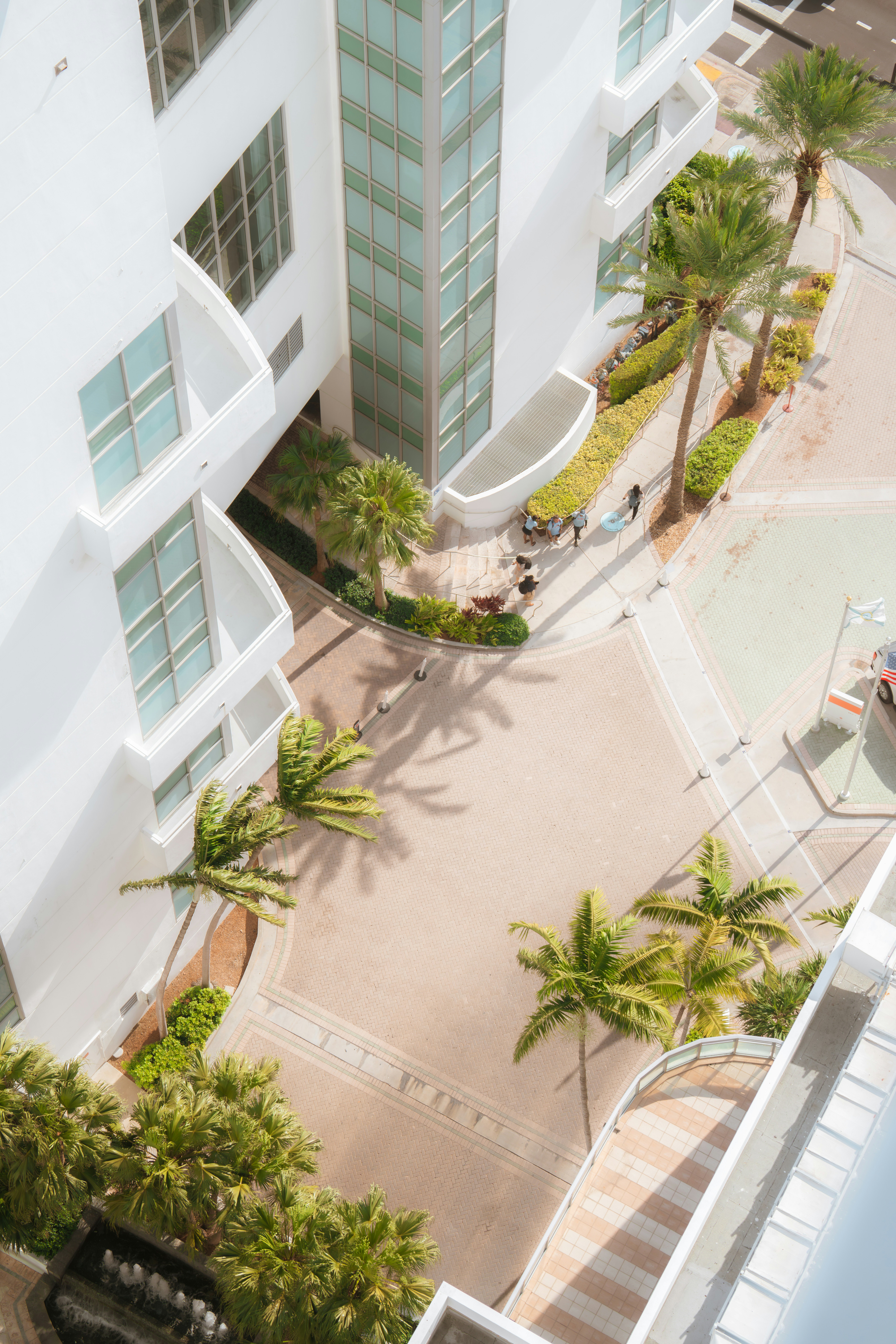 Modern white building with palm trees and courtyard.