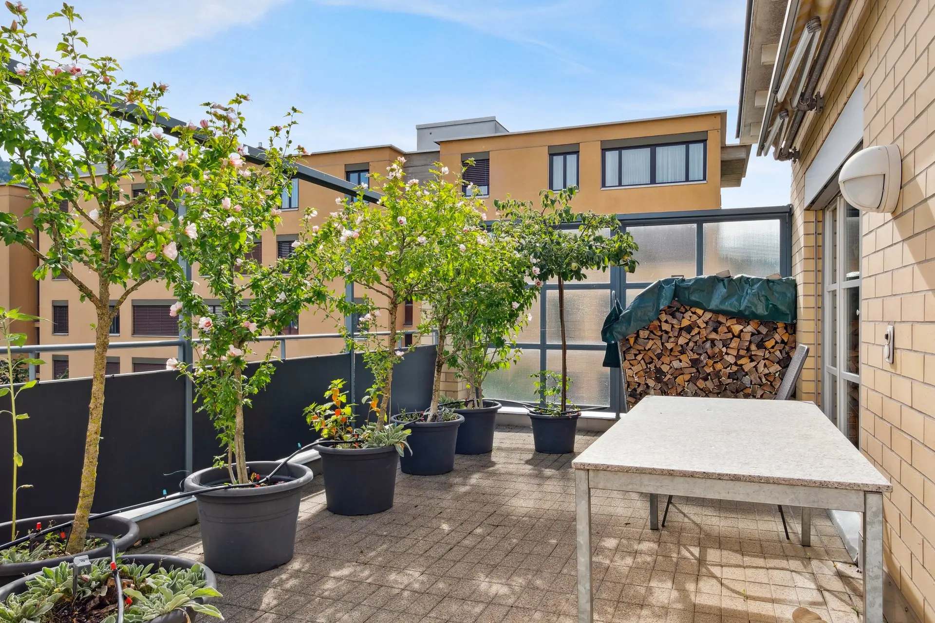 Private Terrasse mit Pflanzentöpfen und grosszügigem Aussenbereich