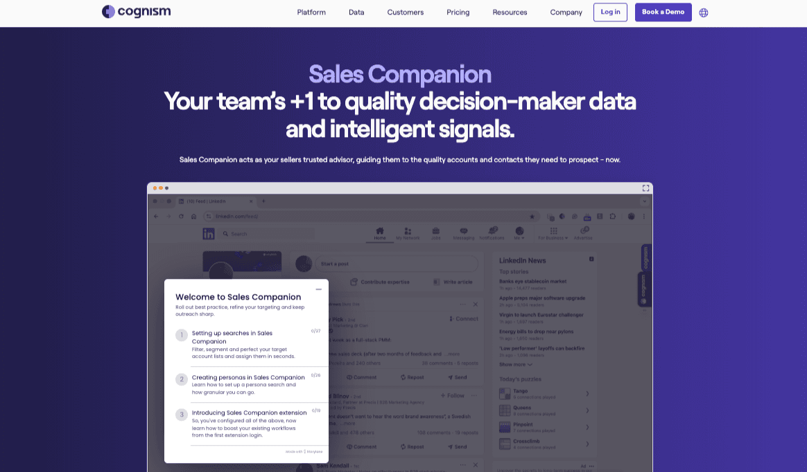 Sales Companion Product Launch project image