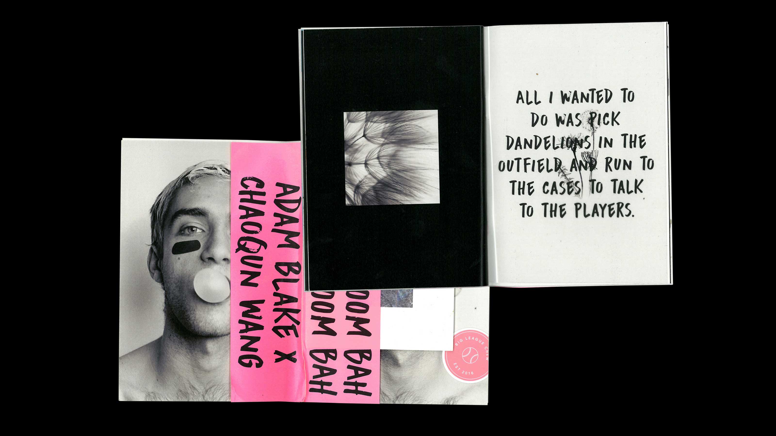 book spreads