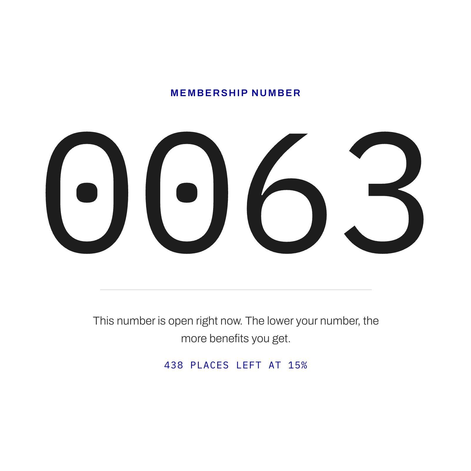 Numbered membership experience on the BLNKK live pre-launch website