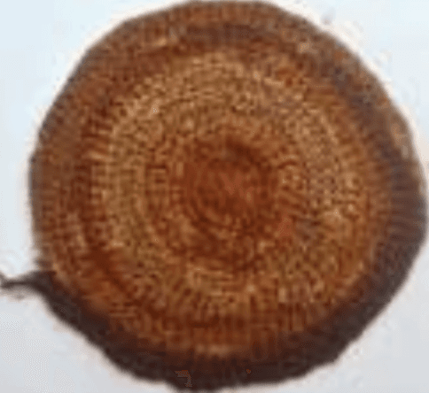 herd of sheep on road painting