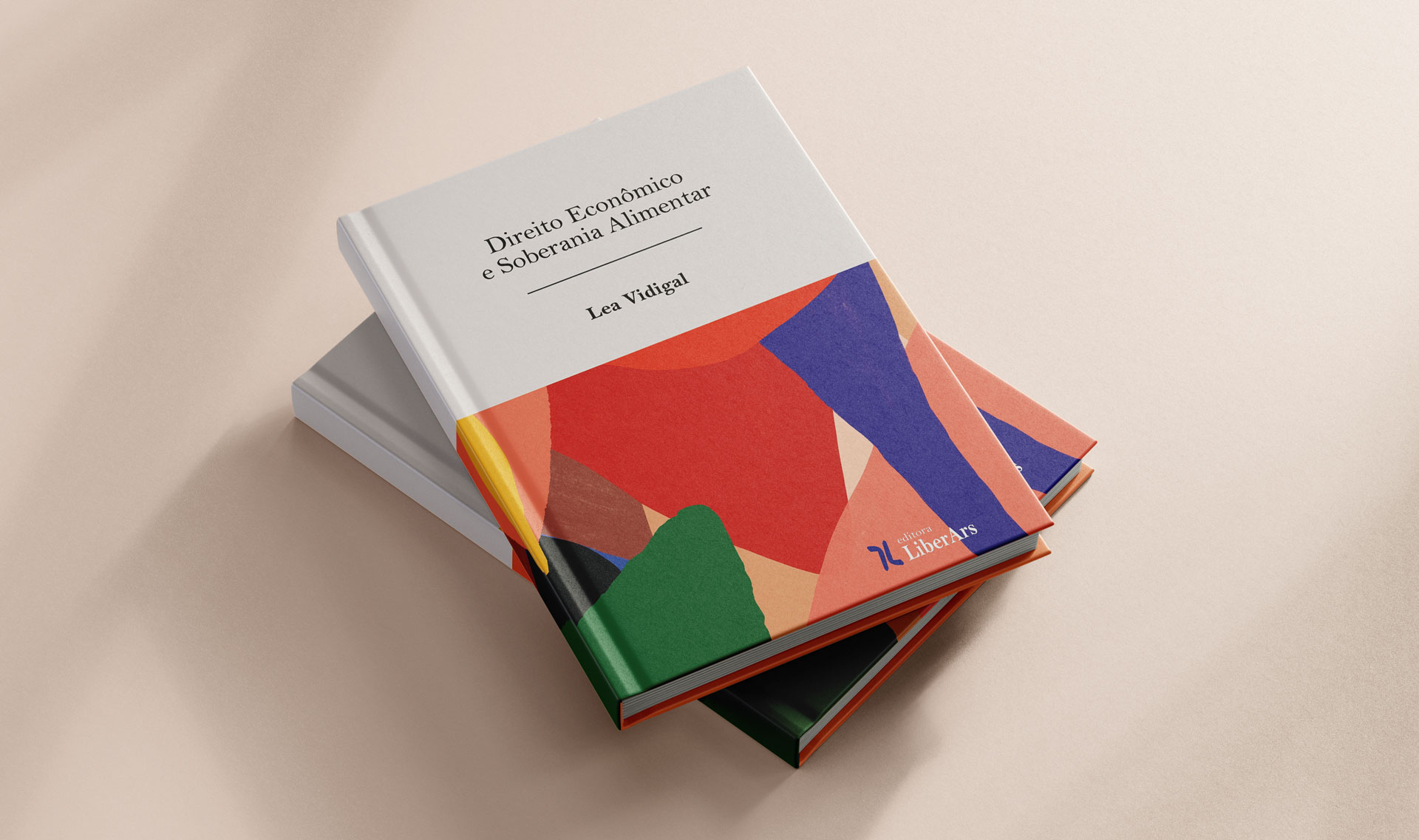 Função e estrutura das empresas estatais