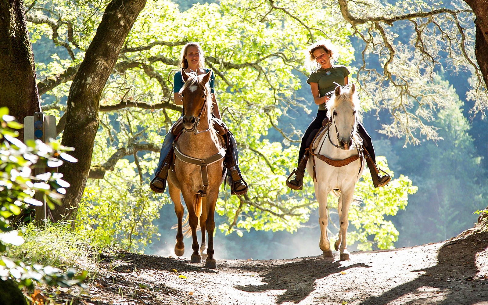 Horseback riders on a forest trail near Siena, Italy.