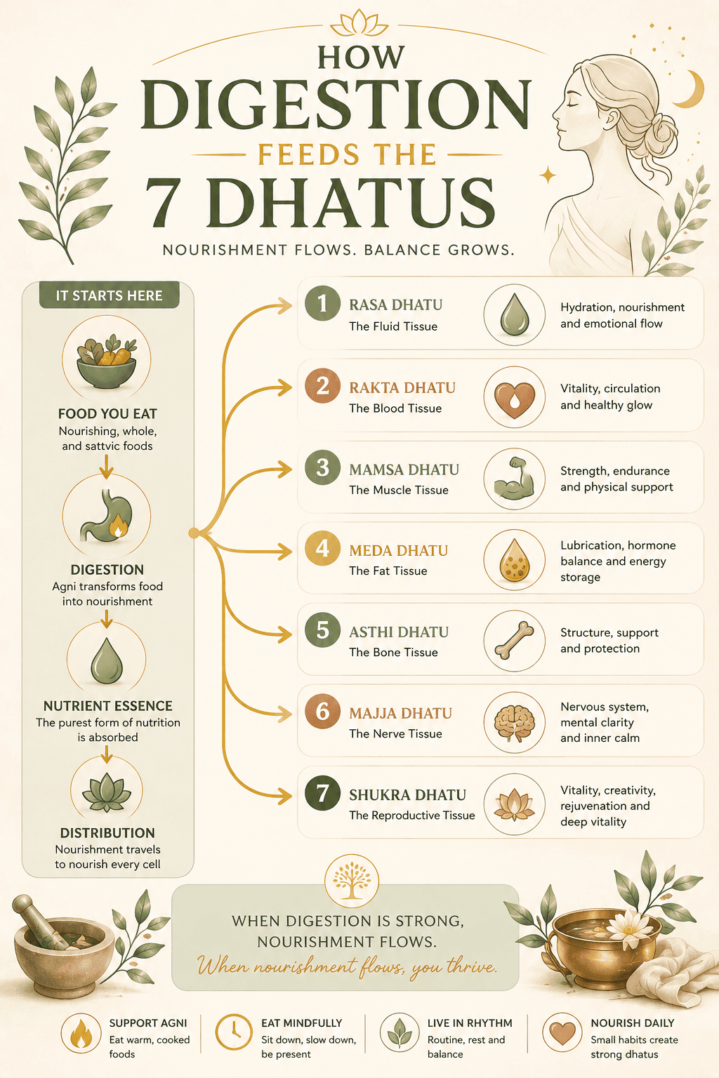 What Are the 7 Dhatus in Ayurveda?