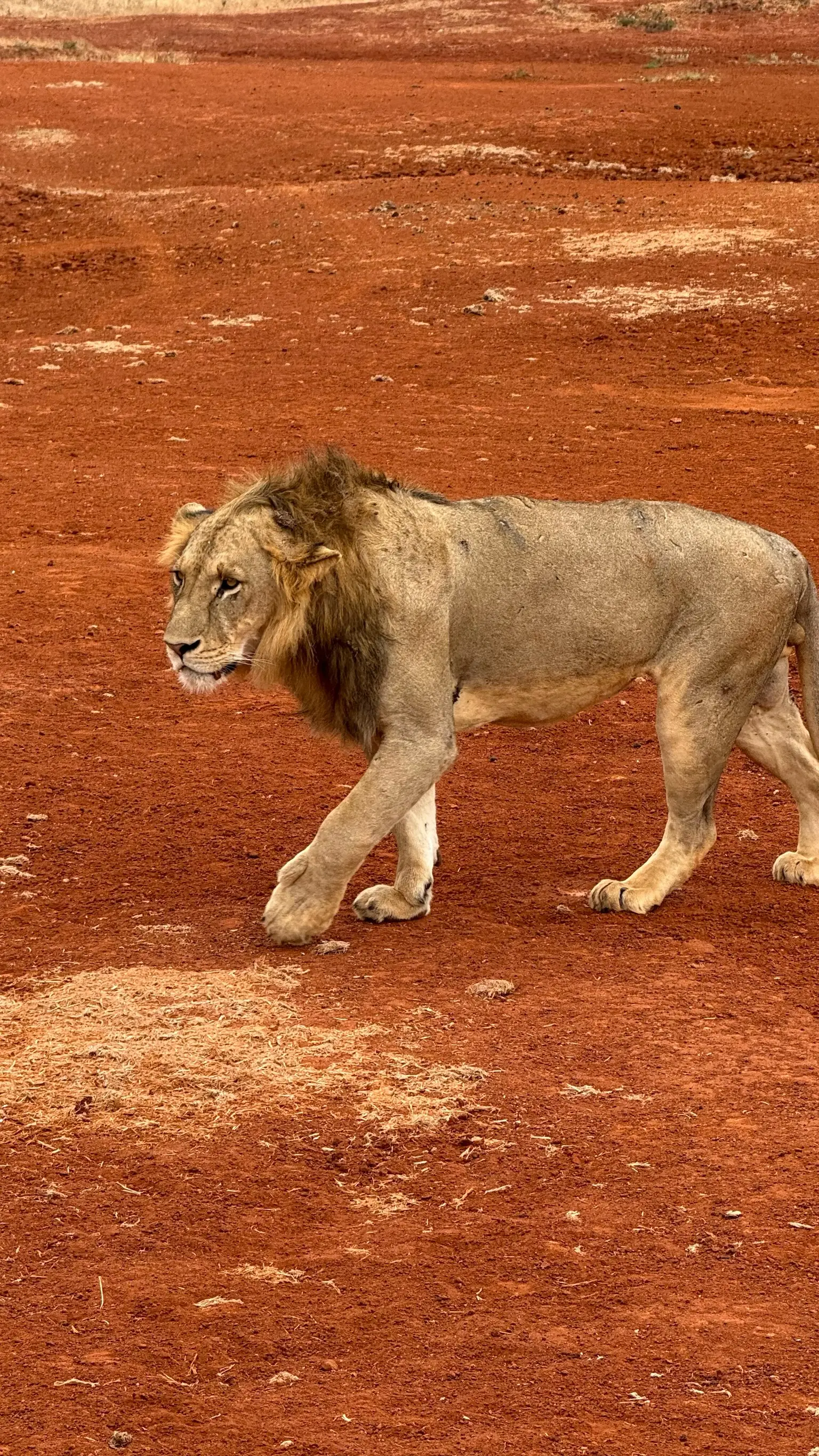 Usahili Tour in Kenya