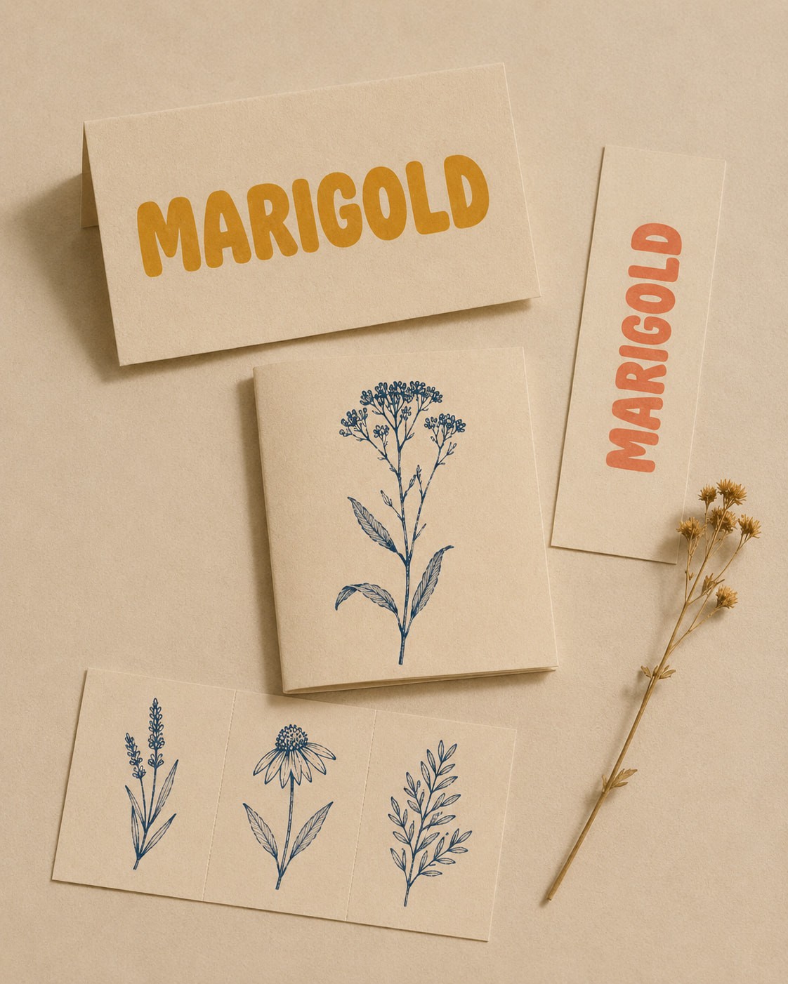 A set of beige stationery items featuring the word "Marigold" in bold yellow and red text. Includes blue botanical sketches and dried flowers. Calm, natural aesthetic.