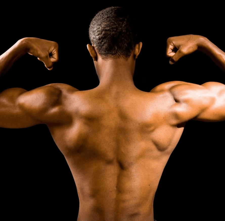 Back view of a muscular athlete showcasing results from the Absolute Mass program.