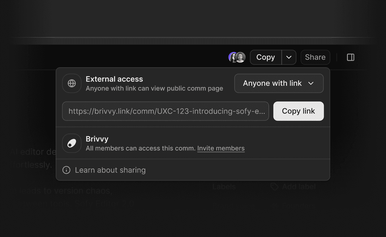 Sharing modal showing external access settings, a public link, and workspace access options in Brivvy.