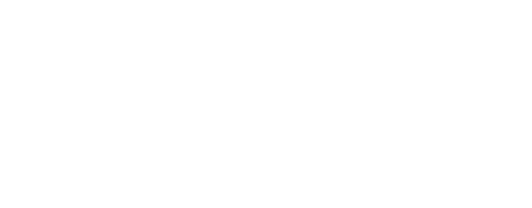 Voice AI Home Remodeling Case Study