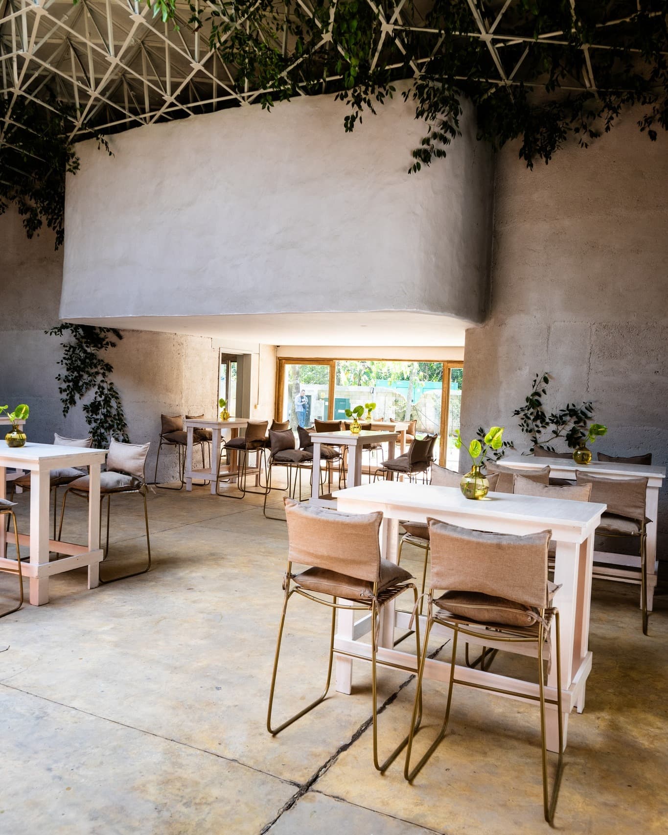 A serene pathway lined with trees leads to a distant building, bathed in warm sunlight.