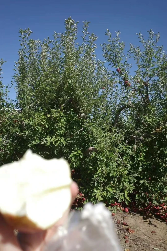 The image featured in the middle of the about us page