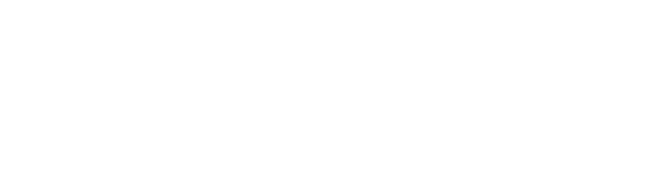 Livohaus Text logo for footer