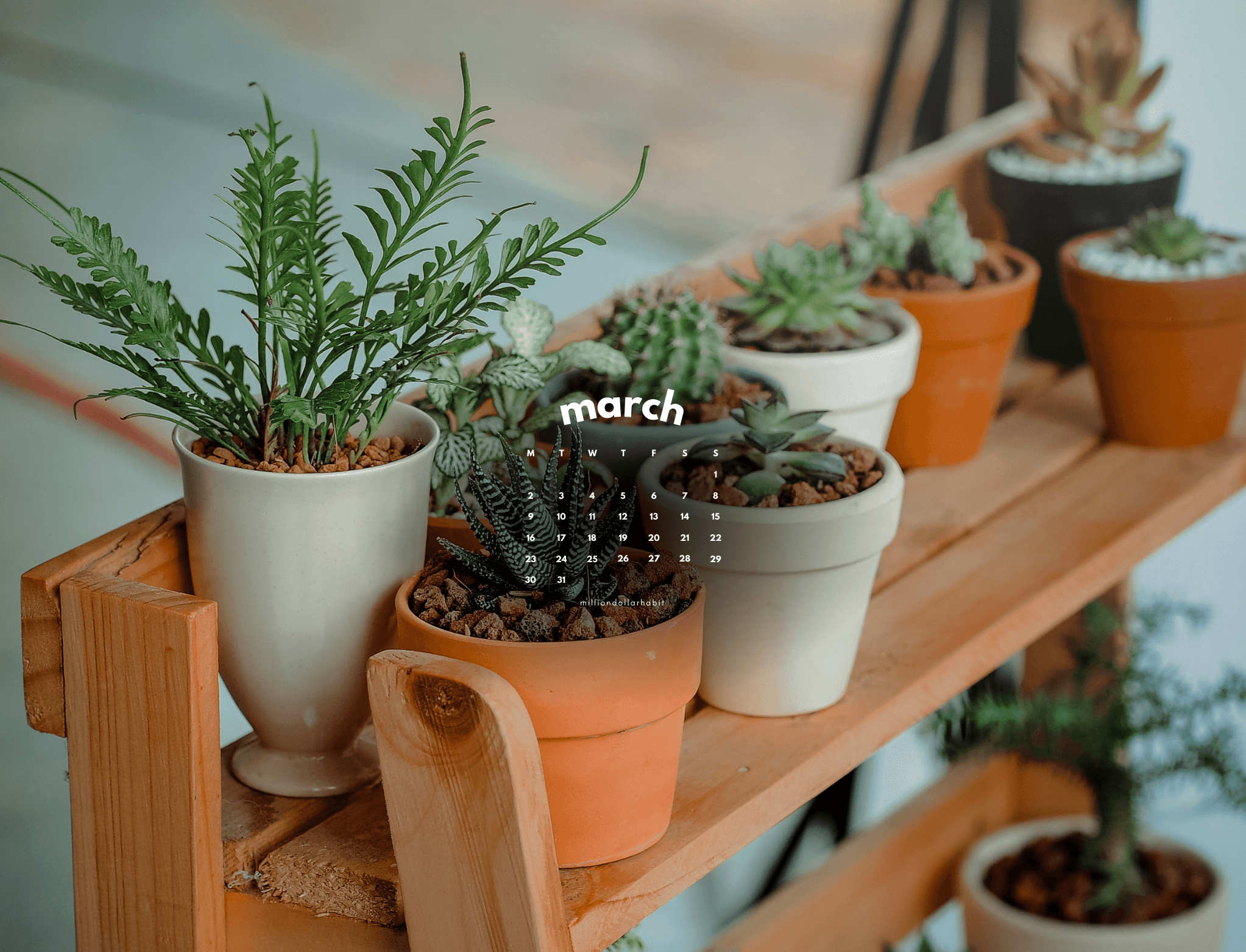 December 2025 wallpapers on desktop, iPad and phone, coordinating minimal tech