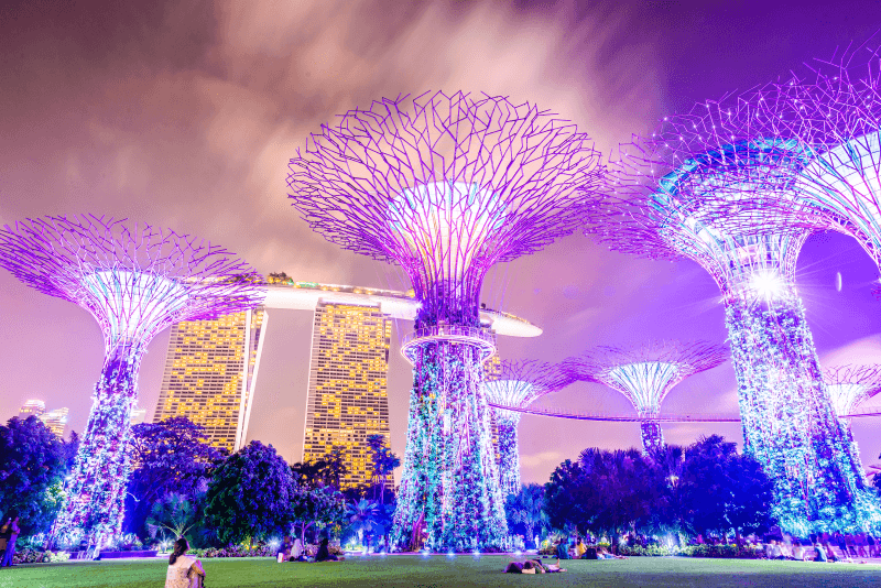 Colourful night image of The Super Trees gardens in Singapore