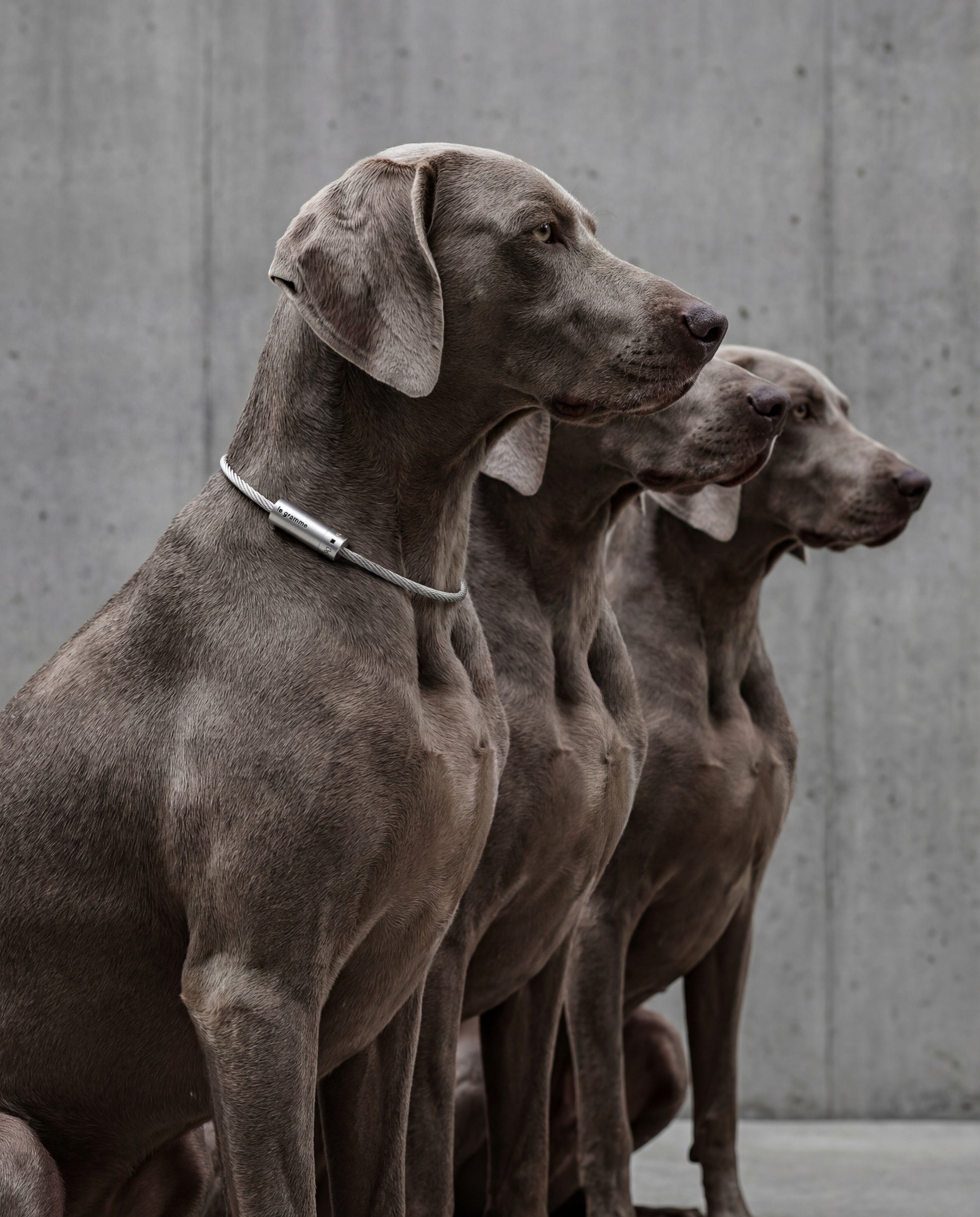 Industrial metal guilloché pattern simulation, Mathematical density emulation via SREF codes, Luxury Alloy Rendering, Speculative Archive, Engineered by Aventi