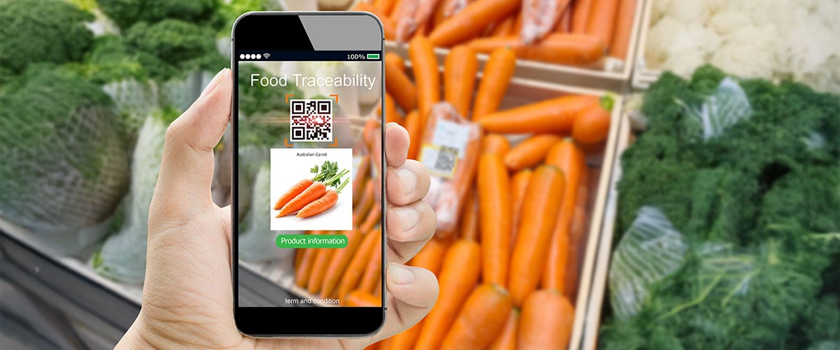 A hand holding a phone displaying food, next to a tray of fresh carrots and leafy greens.