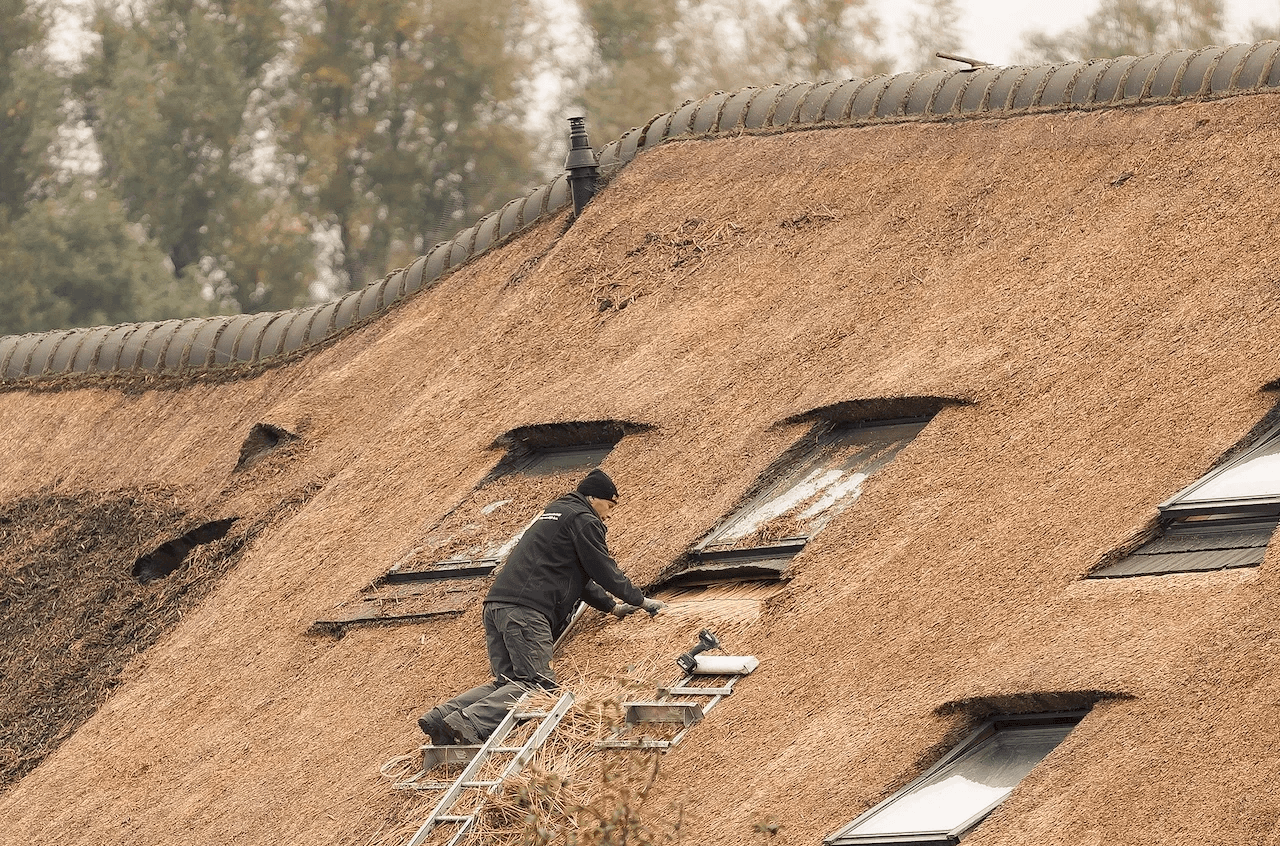 Rietdekker van Rietdekkersbedrijf van Dijk bezig met onderhoud van rieten dak