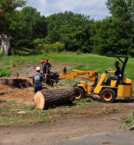 Tree Service