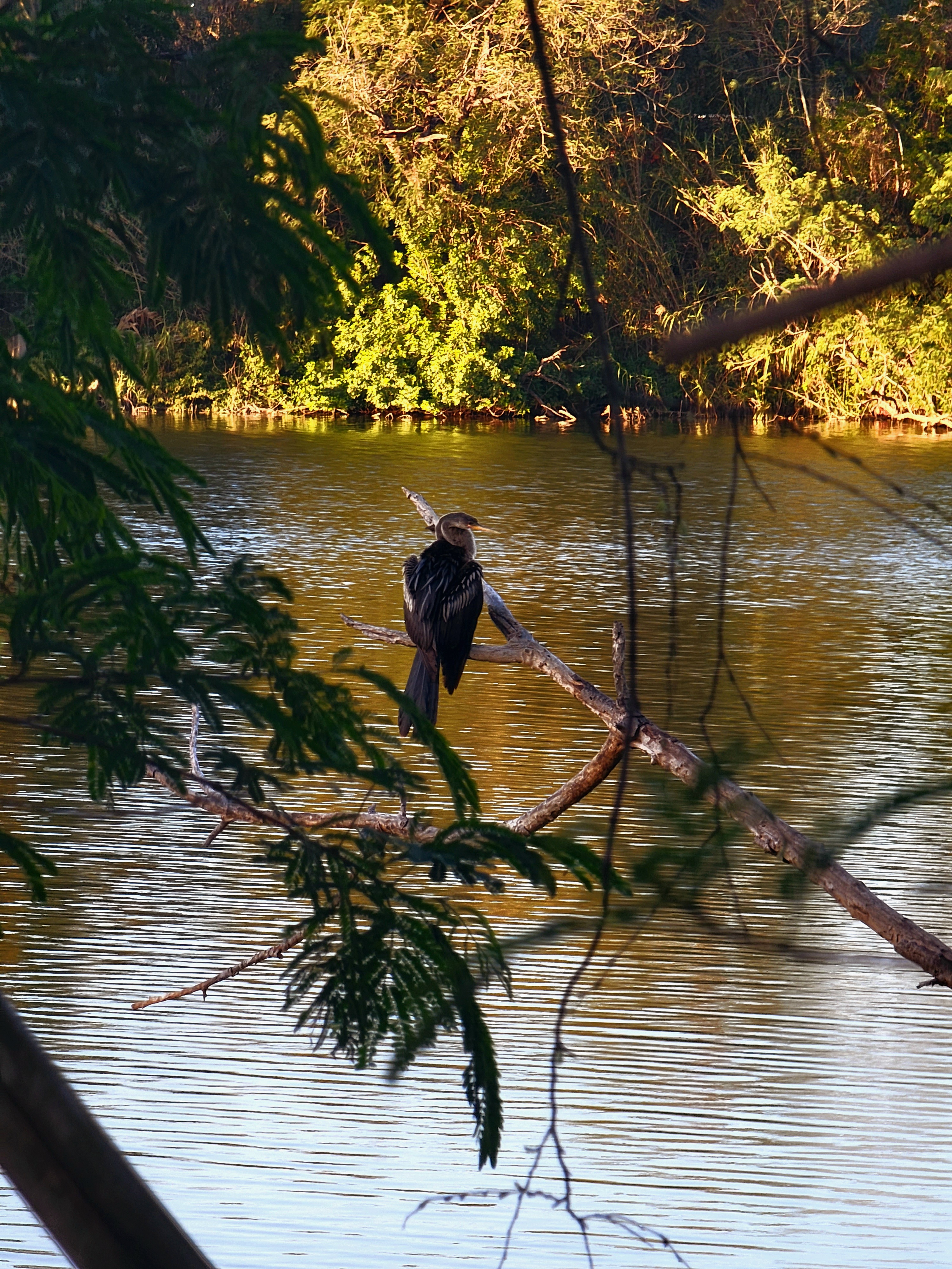 a person sitting in a yellow boat on a river