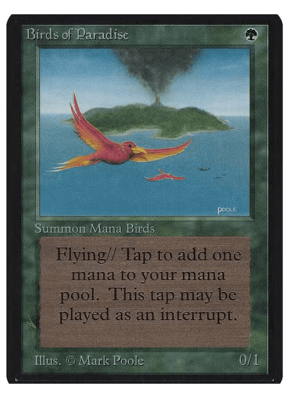 Birds of Paradise Card