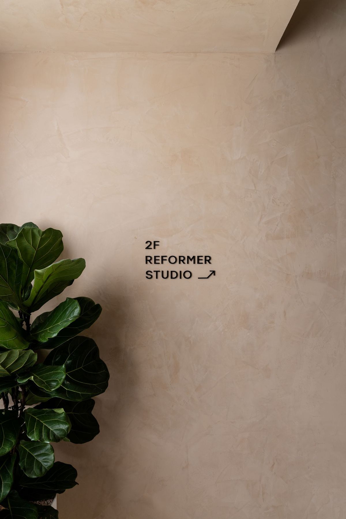 Minimalist black wall lettering reading “2F Reformer Studio →” on a textured beige wall with a large indoor plant beside the directional sign.