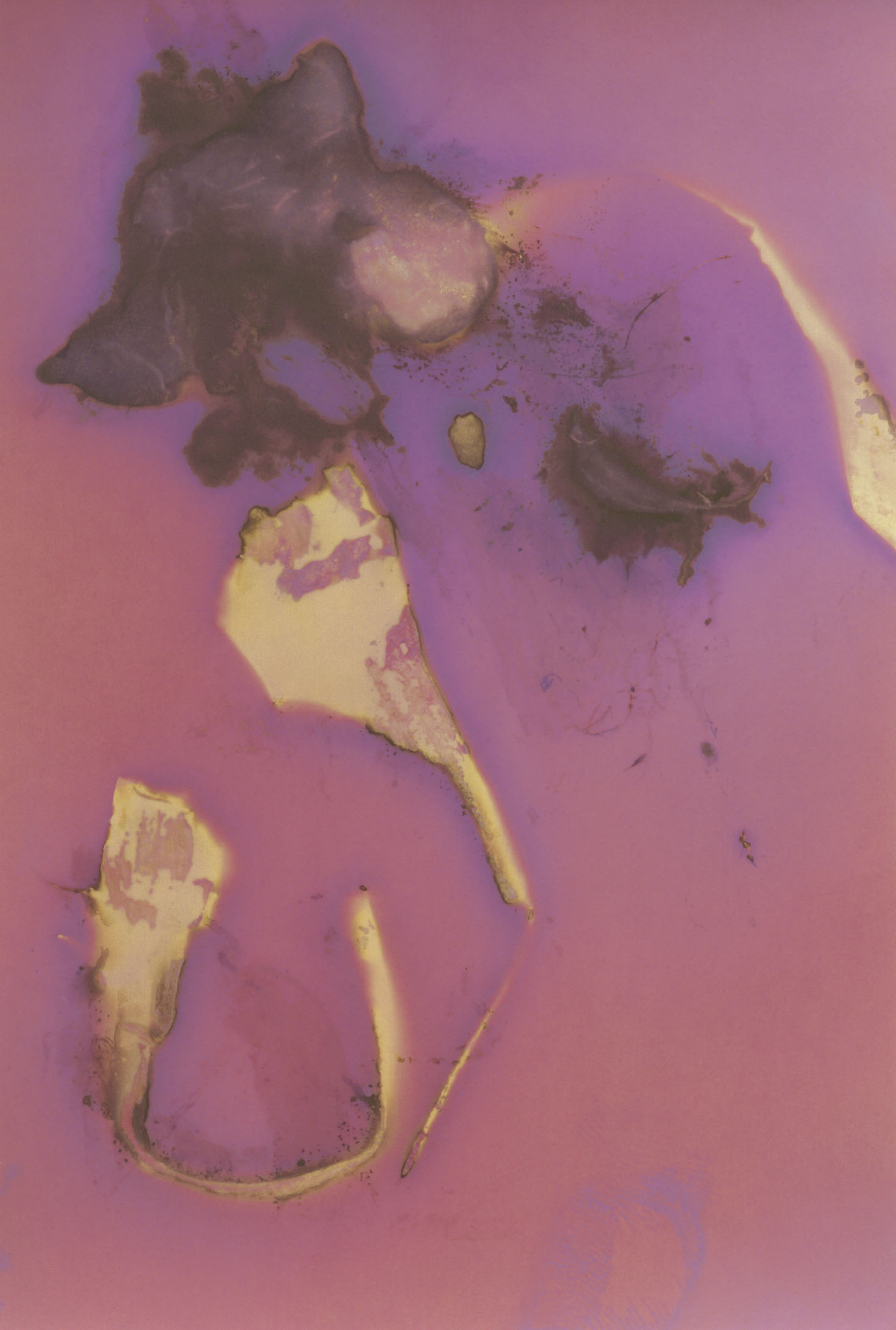 low angle photography of building