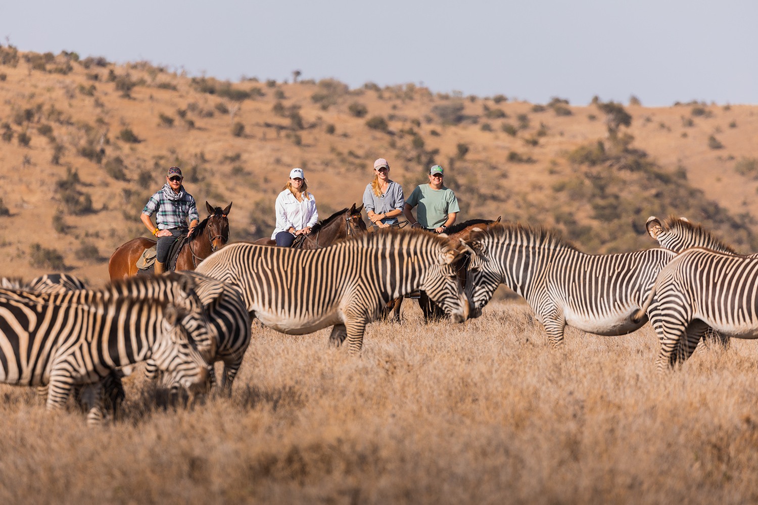 African Explorer, Botswana. En lång rad gnuer rör sig över slätterna med ryttarna i bakgrunden – ett klassiskt motiv från en ridsemester i Botswana.